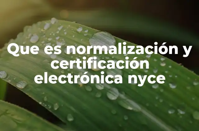 Que es Normalización y Certificación Electrónica Nyce 2 El papel de la tecnología en la gestión de la calidad digital