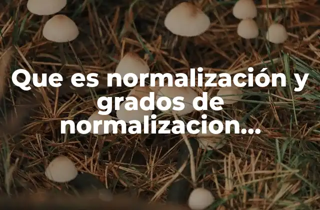 Que es Normalización y Grados de Normalizacion Informatica