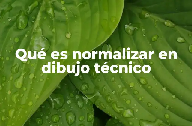 La importancia de la estandarización en la representación gráfica
