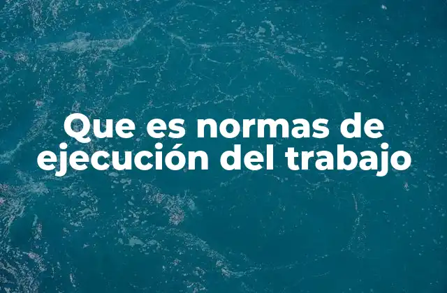 Que es Normas de Ejecución Del Trabajo
