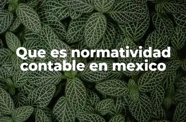 El marco legal que sustenta la normatividad contable en México