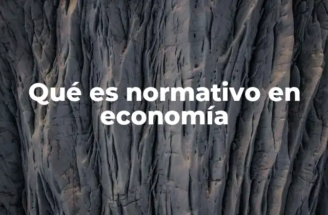 Qué es Normativo en Economía