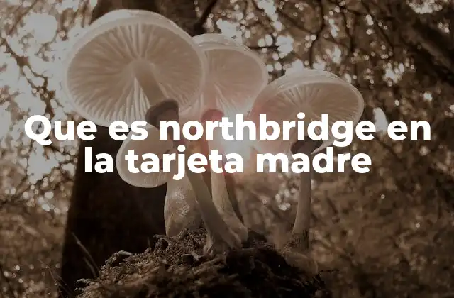Que es Northbridge en la Tarjeta Madre