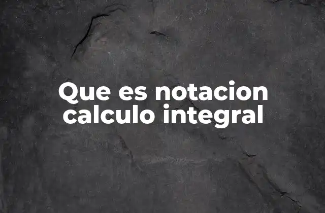 Que es Notacion Calculo Integral