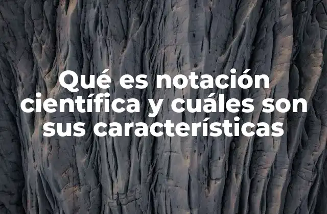 Qué es Notación Científica y Cuáles Son Sus Características