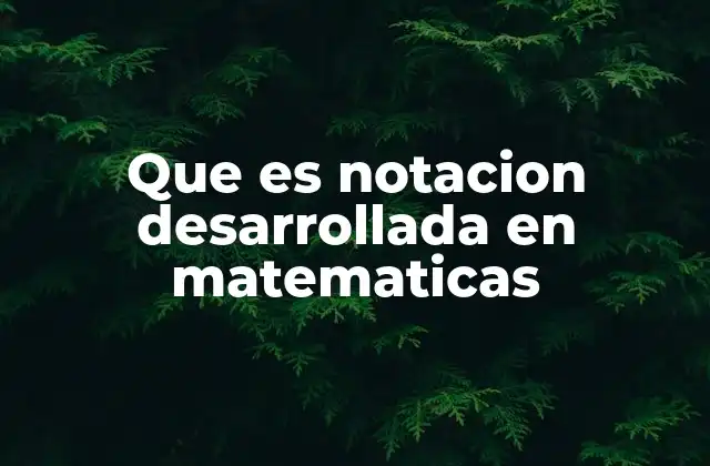Que es Notacion Desarrollada en Matematicas