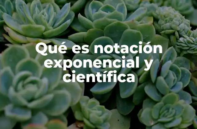 Qué es Notación Exponencial y Científica