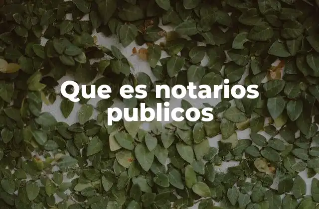 Que es Notarios Publicos
