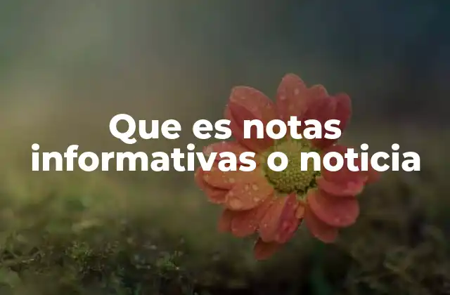 Que es Notas Informativas o Noticia