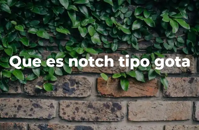 Que es Notch Tipo Gota