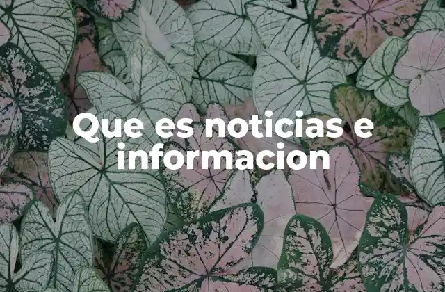 Que es Noticias e Informacion