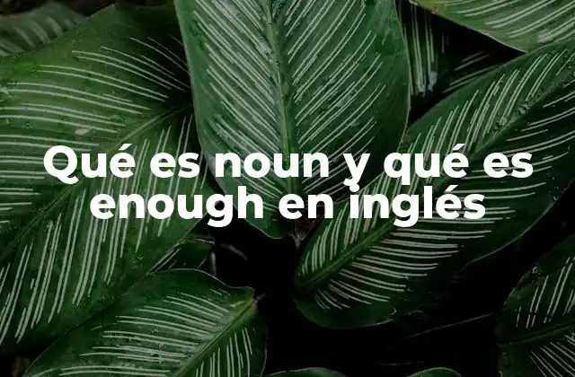 Qué es Noun y Qué es Enough en Inglés