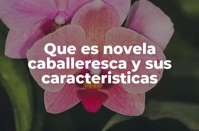 Que es Novela Caballeresca y Sus Caracteristicas