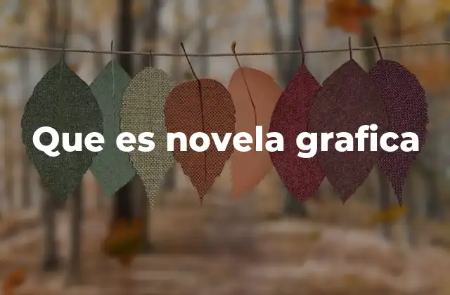 Que es Novela Grafica