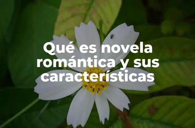 Qué es Novela Romántica y Sus Características
