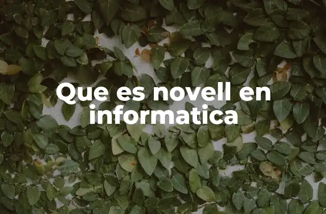 Que es Novell en Informatica