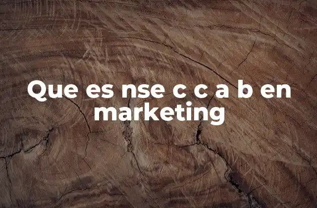 Que es Nse C C a B en Marketing