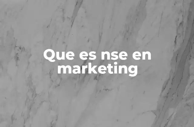 Que es Nse en Marketing