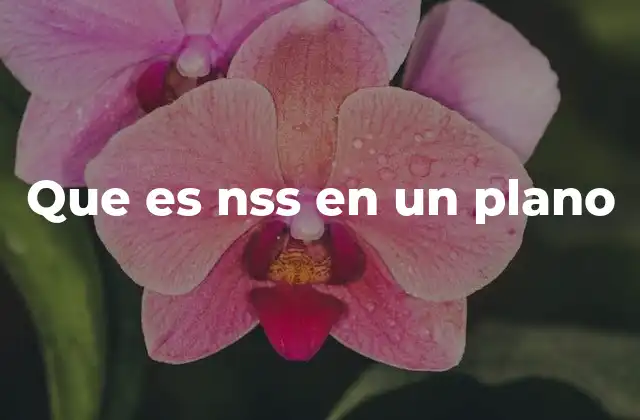 Que es Nss en un Plano