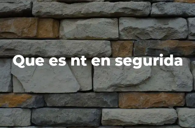 Que es Nt en Segurida