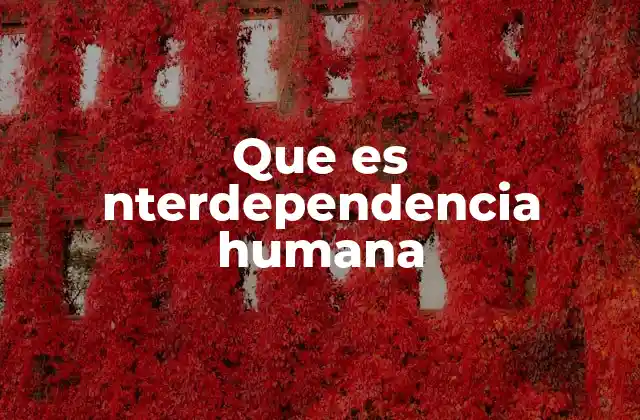 Que es Nterdependencia Humana