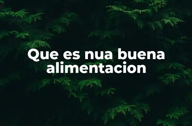 La importancia de los alimentos en el funcionamiento del organismo