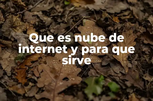 Que es Nube de Internet y para que Sirve 2 Cómo la nube ha transformado la gestión de datos