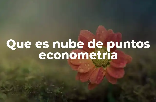 Que es Nube de Puntos Econometria
