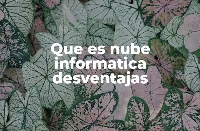Que es Nube Informatica Desventajas