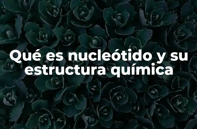 Qué es Nucleótido y Su Estructura Química