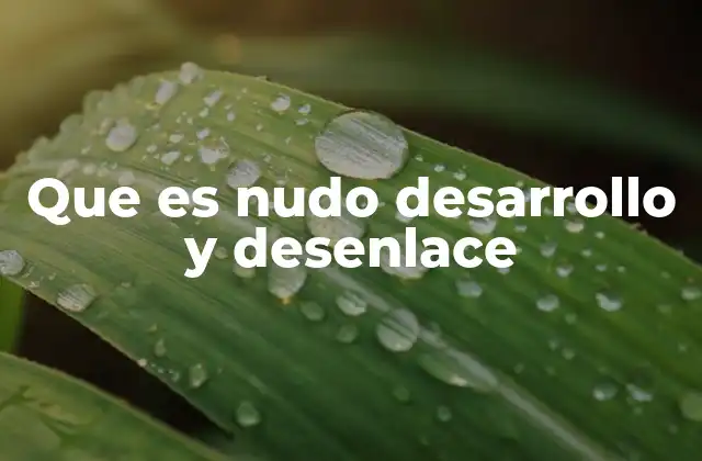 Que es Nudo Desarrollo y Desenlace