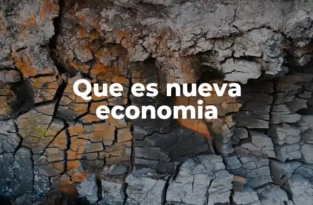 Que es Nueva Economia