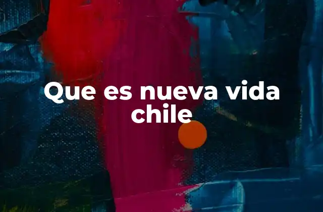 Que es Nueva Vida Chile 2 El rol de las organizaciones comunitarias en Chile