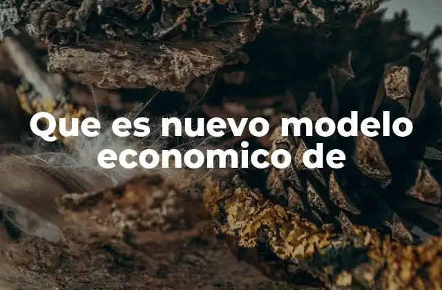Que es Nuevo Modelo Economico de