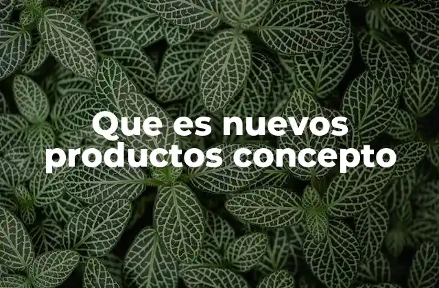 La importancia de la conceptualización en el desarrollo de productos