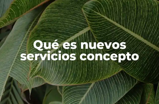 Qué es Nuevos Servicios Concepto
