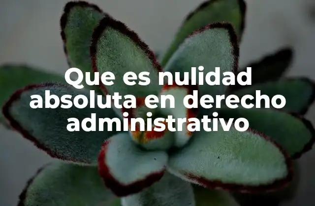 Que es Nulidad Absoluta en Derecho Administrativo