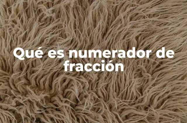 Qué es Numerador de Fracción