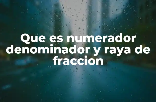 Que es Numerador Denominador y Raya de Fraccion