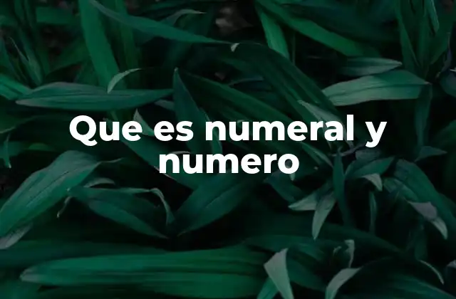 Que es Numeral y Numero