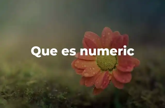 Que es Numeric
