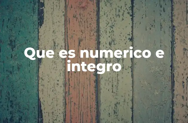 Que es Numerico e Integro