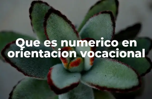 Que es Numerico en Orientacion Vocacional