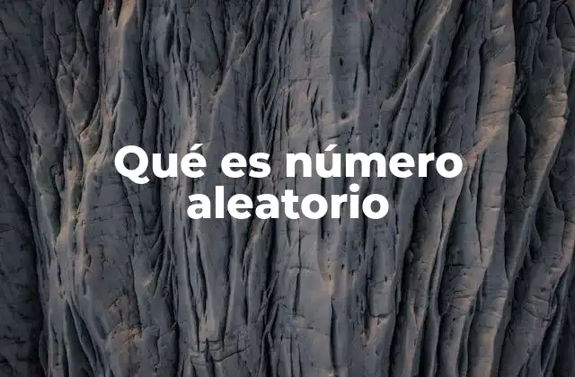 Qué es Número Aleatorio