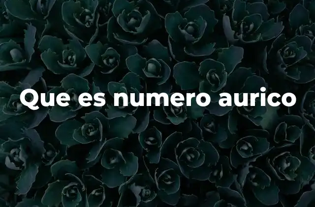 Que es Numero Aurico
