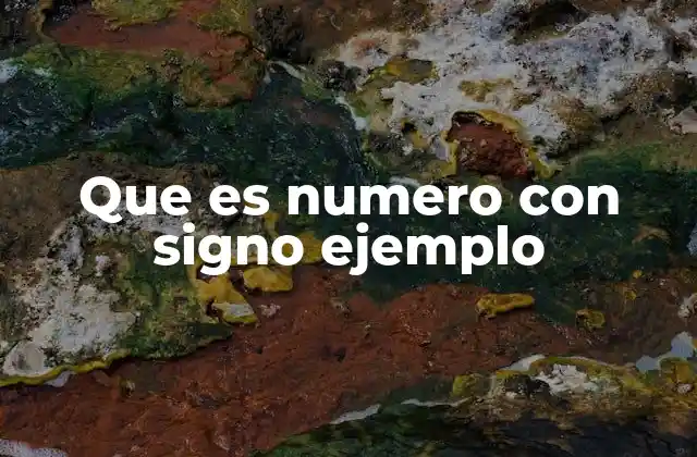 Que es Numero con Signo Ejemplo