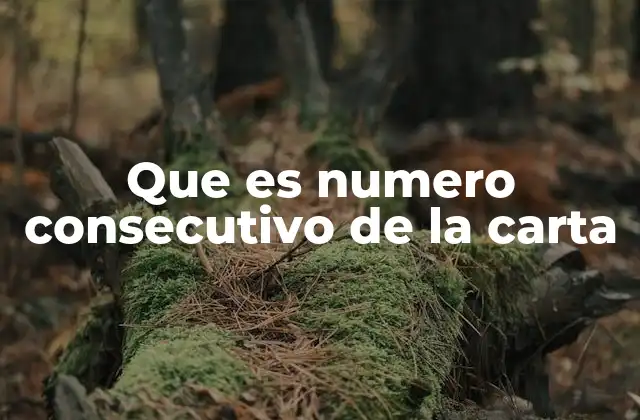 El papel del número consecutivo en la gestión documental