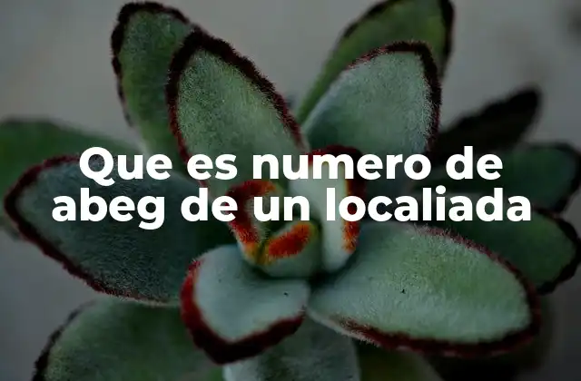 Que es Numero de Abeg de un Localiada