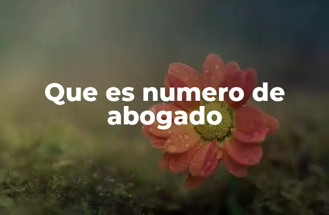 Que es Numero de Abogado
