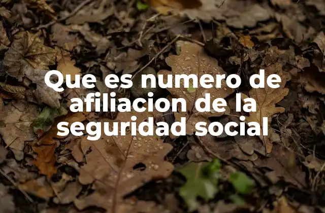 Que es Numero de Afiliacion de la Seguridad Social